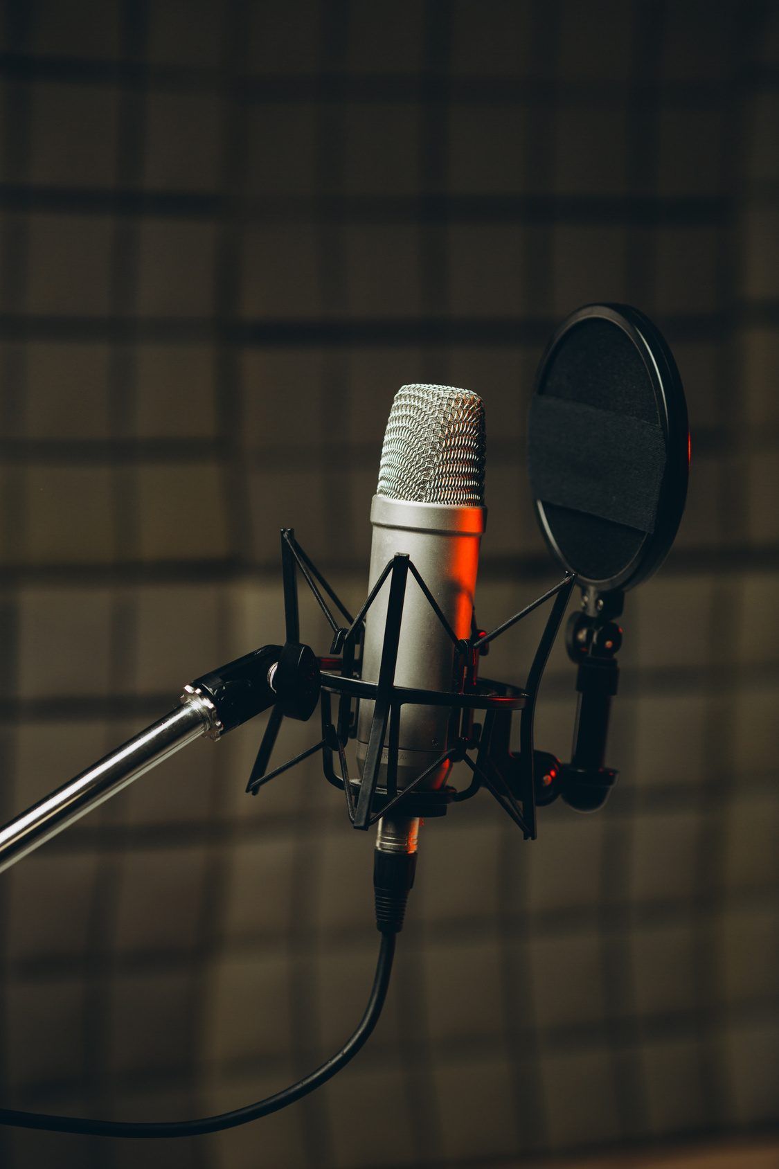 A studio microphone with a pop filter in a dark recording booth