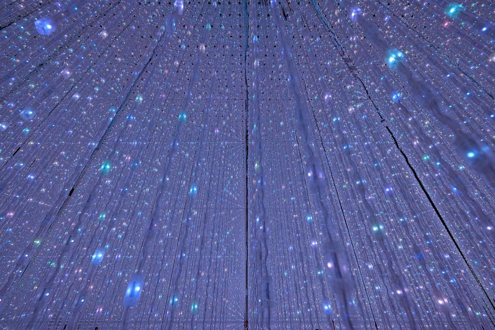 Visitors in a digital immersive exhibition